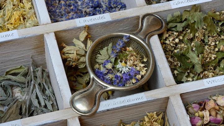 Какие травы самые полезные: Диетолог расстроил любителей народной медицины