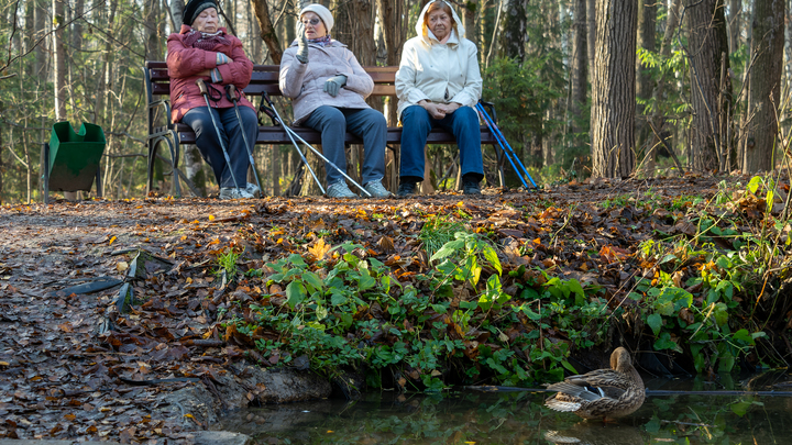 Парящая экотропа появилась в Орехово-Зуеве