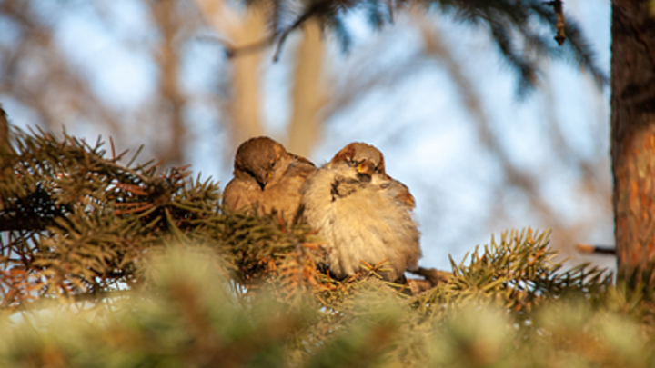 На Кубани в 2022 году создали 22 особо охраняемые природные территории