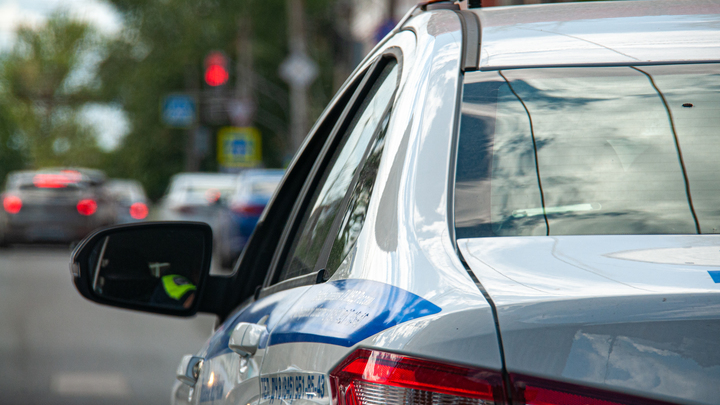 Полиция в Оренбурге ищет пару, перевозившую ребёнка в клетке