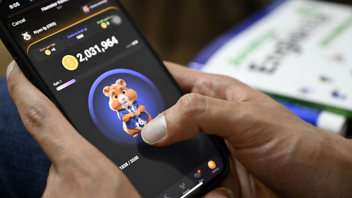 Между разработчиками Hamster Kombat произошел корпоративный конфликт