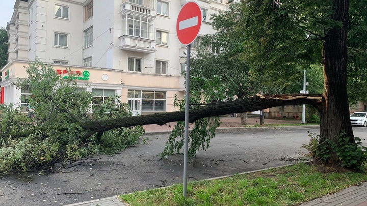 Ураган оставил без света около 2000 домов в Нижегородской области