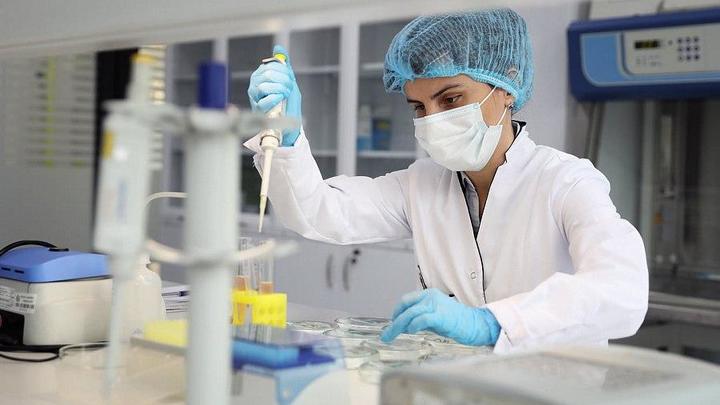 +524 случая коронавируса: В Краснодарском крае растёт заболеваемость COVID-19