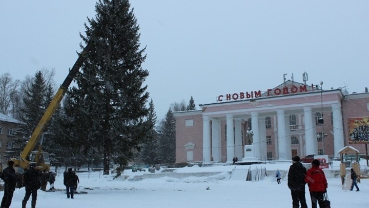 В Челябинской области вспыхнула новогодняя елка