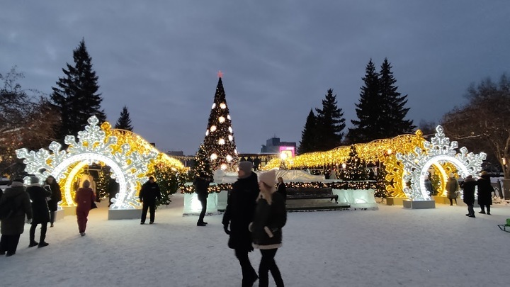 Главную городскую ёлку установили на площади Ленина в Новосибирске