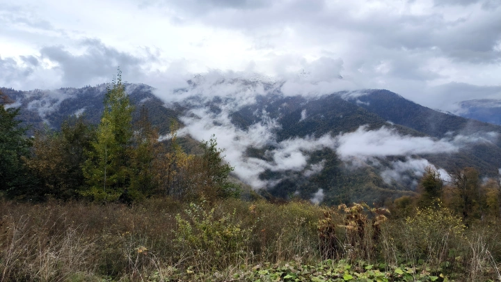 Глобальное потепление приведет нас к новому ледниковому периоду