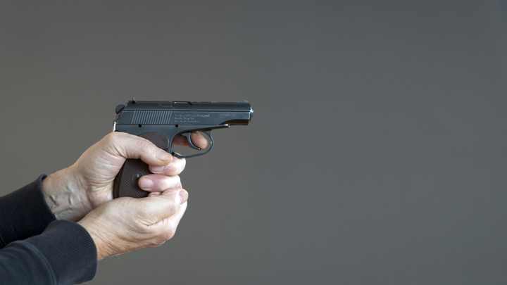 Это  не  мужской аксессуар: Хинштейн заявил о внесении закона о контроле за оружием