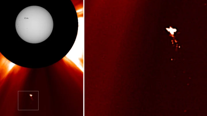 Птица у Солнца? Необычный объект попал на снимки космической обсерватории