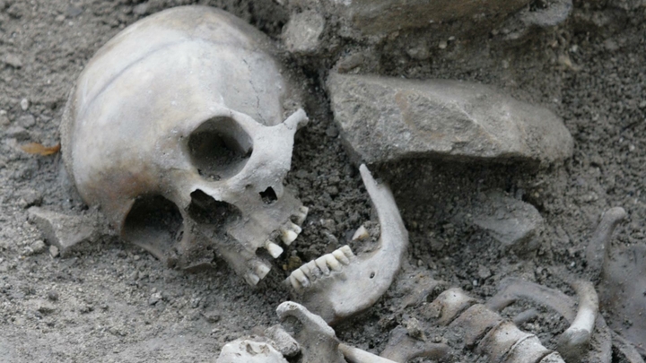 Человеческие кости 50-летней давности нашли в центре Москвы