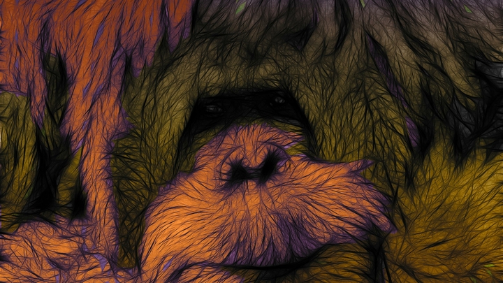 Оспа обезьян известна человечеству более 50 лет. Стоит ли паниковать?