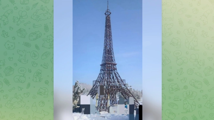 Житель Саратовской области построил мини-копию Эйфелевой башни и сорвался с неё