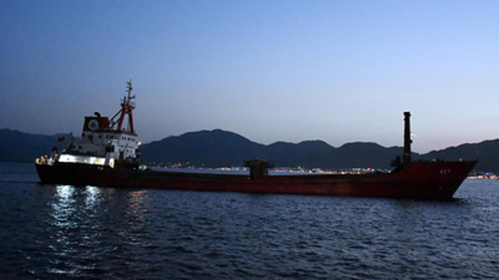 Сухогруз с зерном под флагом России Жибек Жолы покинул турецкий порт