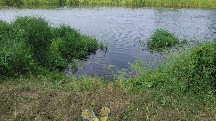 В выходные в Подмосковье утонули три человека, в том числе 16-летняя девочка в Коломне
