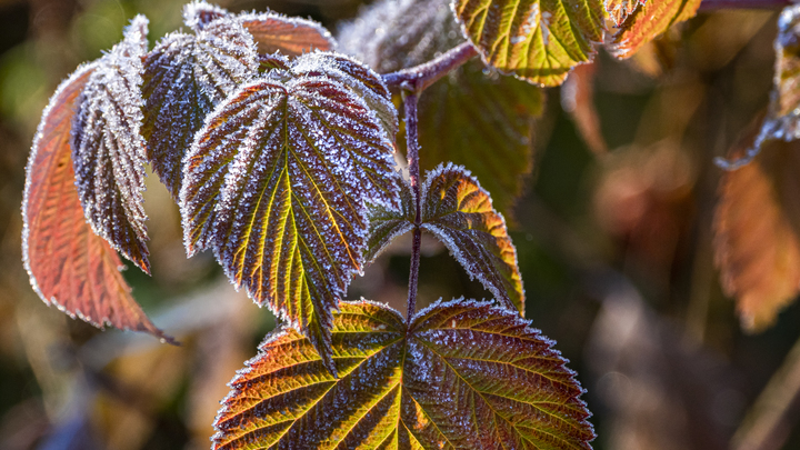 В Краснодарском крае к выходным потеплеет до +20 градусов