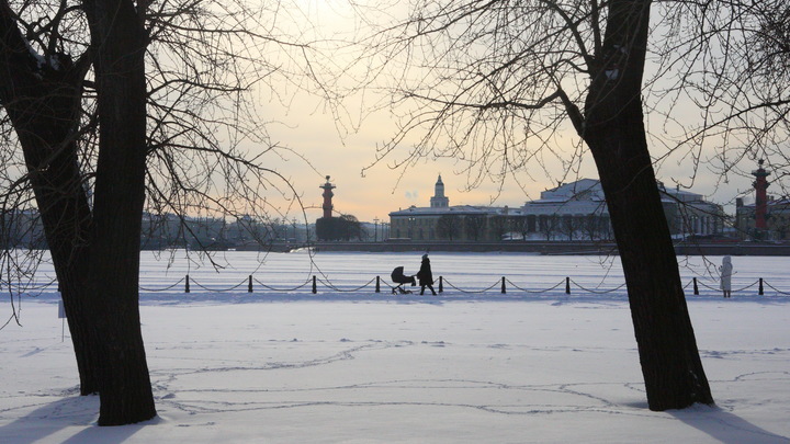 Кемпинги, инициативы и туристы: на что Ленобласти выделили 118 миллионов