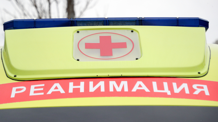 Министр здравоохранения Камчатки разбился в ДТП: У чиновника переломы