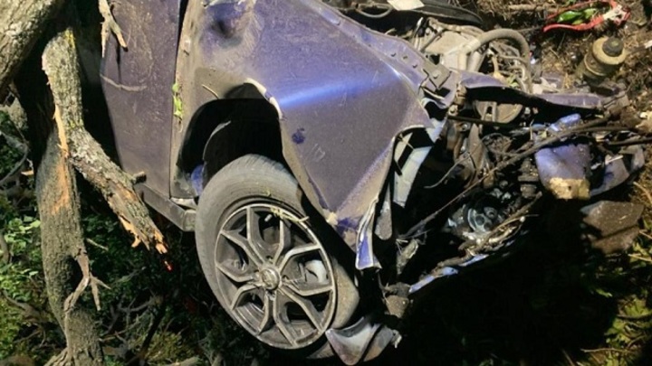 В Новокубанском районе машина на полном ходу врезалась в дерево, двое погибли