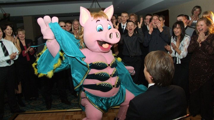 Что получится, если скрестить человека и свинью - в США ищут ответ