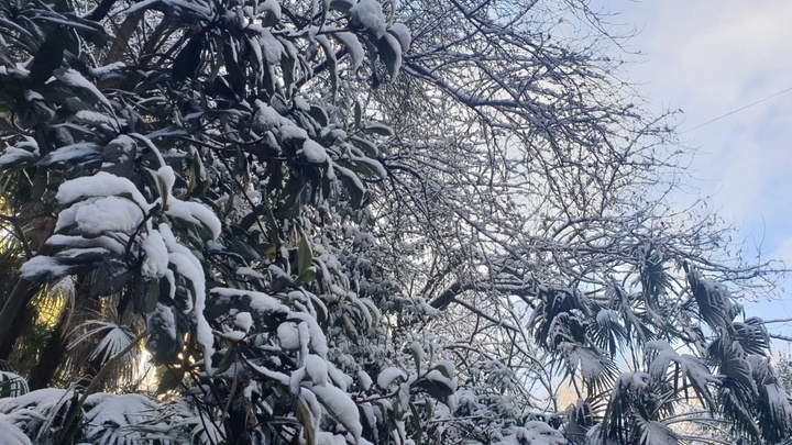 Последствия снегопада на дорогах Красной Поляны ликвидируют 55 единиц техники