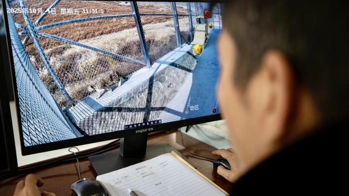 РЕН ТВ: рабынь для скам-центров в Мьянме похищали выходцы с Украины и Средней Азии РЕН ТВ: рабынь для скам-центров в Мьянме похищали выходцы с Украины и Средней Азии