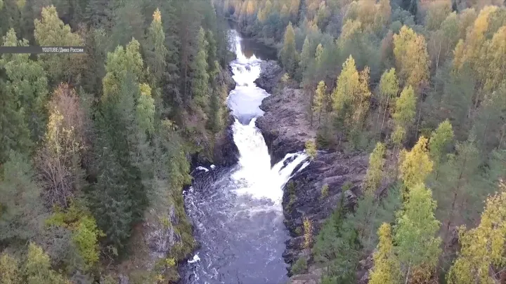 Усольцевы выглядели замерзшими: стало известно, что делала семья в день исчезновения