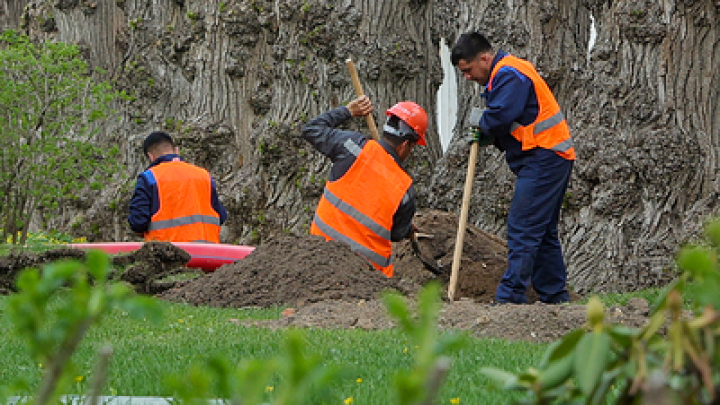 Шёл на повышение: полицейский начальник помогал мигрантам в Ростове