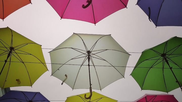 Всемирный день метеорологии: поздравления в прозе и стихах