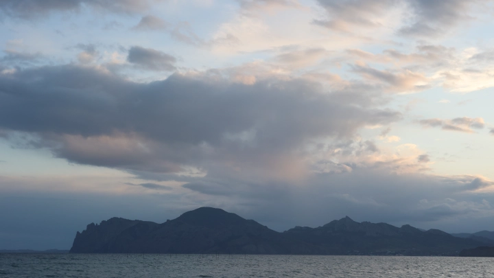 В Чёрном море у берегов Украины обитает смертельный хищник — его яд парализует нервную систему