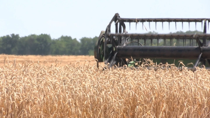 Первые итоги переговоров с Пекином: Сухопутный зерновой коридор- Россия и Китай создадут агропромышленный кластер