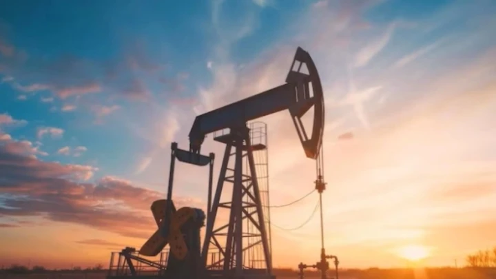 Глава МИД Индии заявил, что США сами просили Дели покупать русскую нефть