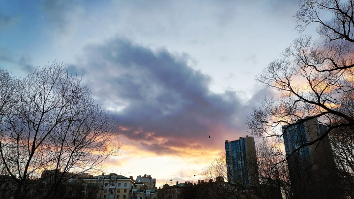 Весеннее обострение: почему растет агрессия