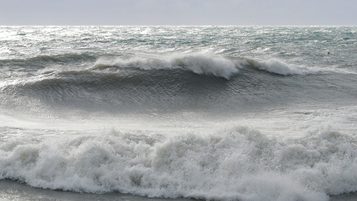 Найденную мёртвой на базе отдыха в Туапсинском районе женщину могли изнасиловать