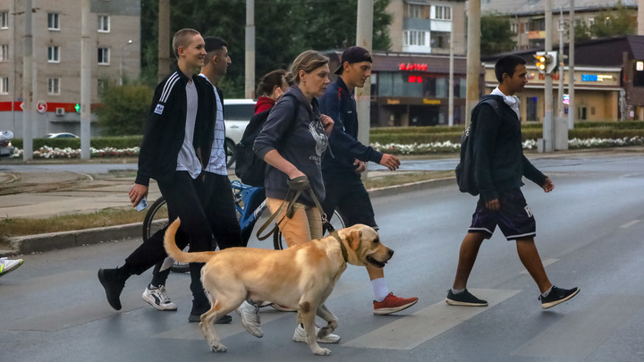 Автохам проехал почти по пешеходам на зебре в центре Екатеринбурга