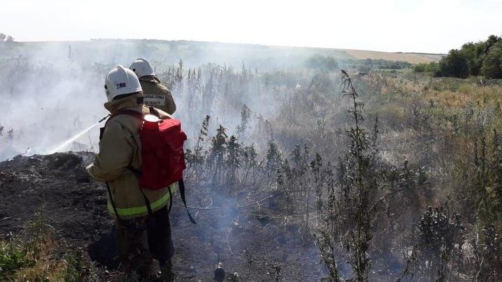 И за это – только штраф?!: Ростовчане сами задержали поджигателя, устроившего пожар в Кумженской роще