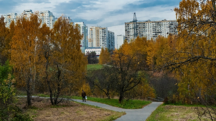 Несколько зеленых зон Екатеринбурга отдадут под застройку