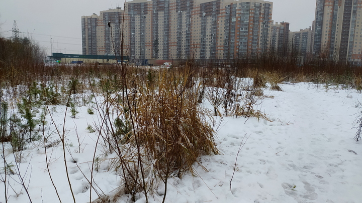 Мэрия Самары выставили на продажу земельный участок на Девятой просеке