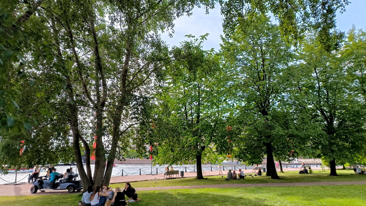 Июнь в Новосибирске будет дождливым и пасмурным