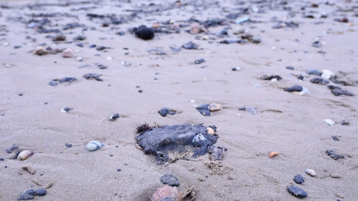 На пляжах Анапы 19 января заметили новые выбросы мазута