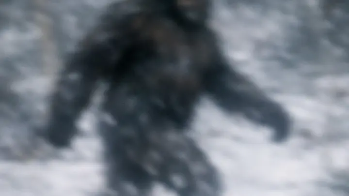 В Огайо переполох: снежного человека видели семь раз за пять дней