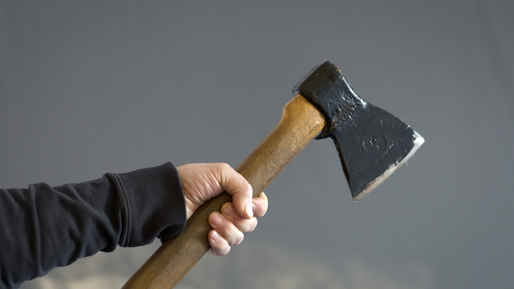 В Сочи дачник топором отрубил голову собаке для приготовления лекарства от туберкулёза