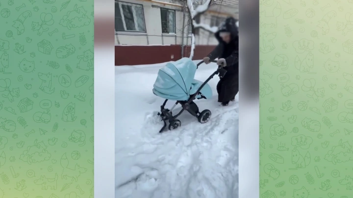 Москвички превратили детские коляски в снегоуборщики