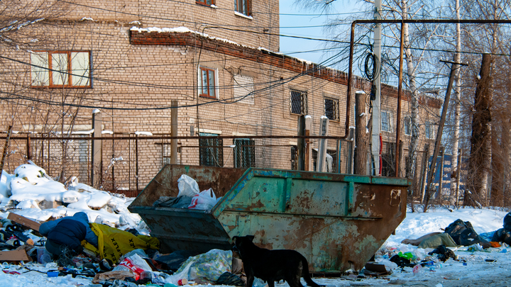 Трагедия в Новгородской области: Питбули растерзали первоклассника в гостях у друга