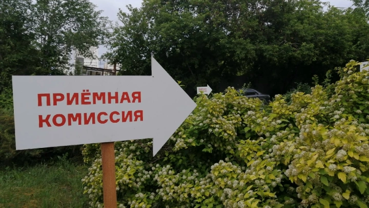 Изменить правила поступления в вузы хотят в России