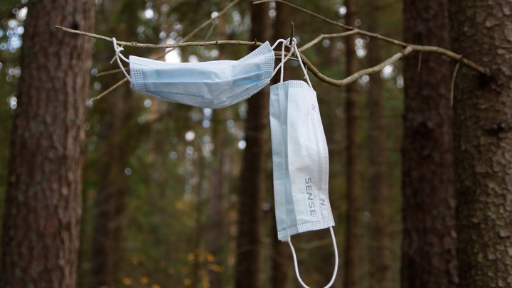 На Кубани бывшую сотрудницу ППС осудят за фиктивный протокол о нарушении масочного режима