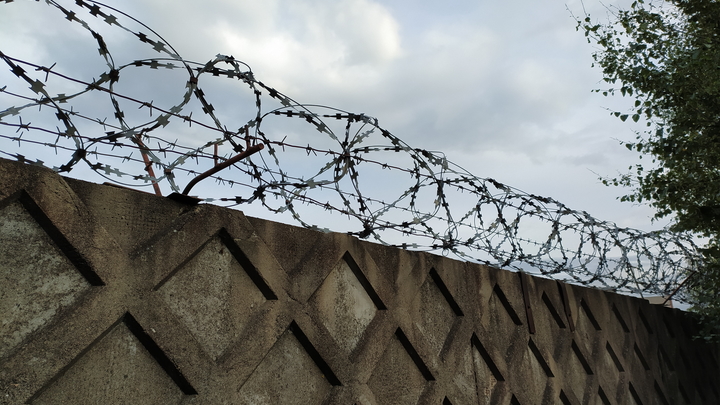 Польша готовит закон для строительства умного забора на границе с Беларусью