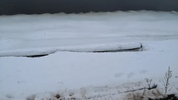 Слабоумие и отвага на Неве: прогулка по тонкому льду едва не обернулась трагедией для экстремала