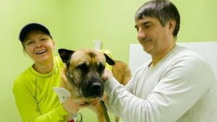 В Челябинске спасенного пса Грея потребовал вернуть старый хозяин
