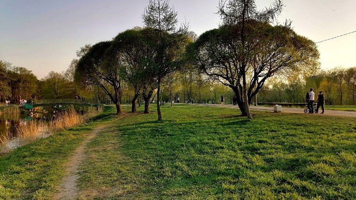 Погода в Ленобласти на 6 июня 2023: днем потеплеет