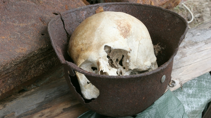 Захоронение из 90-х: В Москве на строительстве шоссе обнаружили останки людей