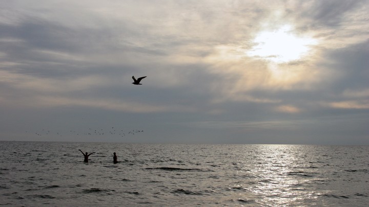Губернатор Андрей Травников анонсировал новый водный маршрут для туристов Обские парки